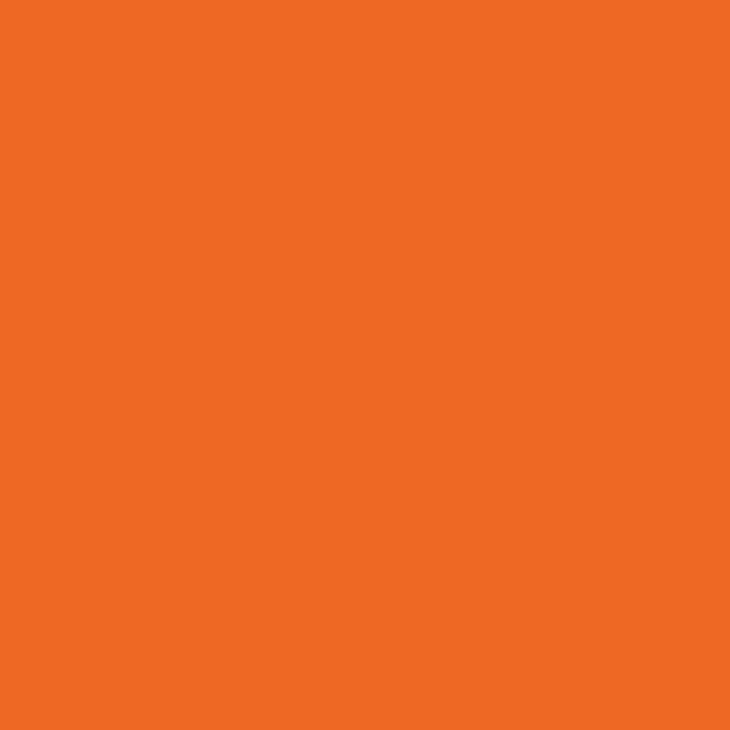 Winsor & Newton Winton Oil Color | 37ml