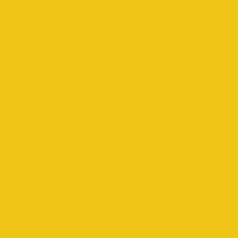 Winsor & Newton Winton Oil Color | 37ml