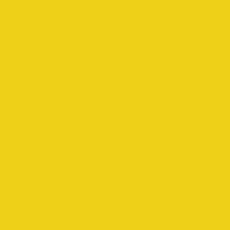 Winsor & Newton Winton Oil Color | 37ml