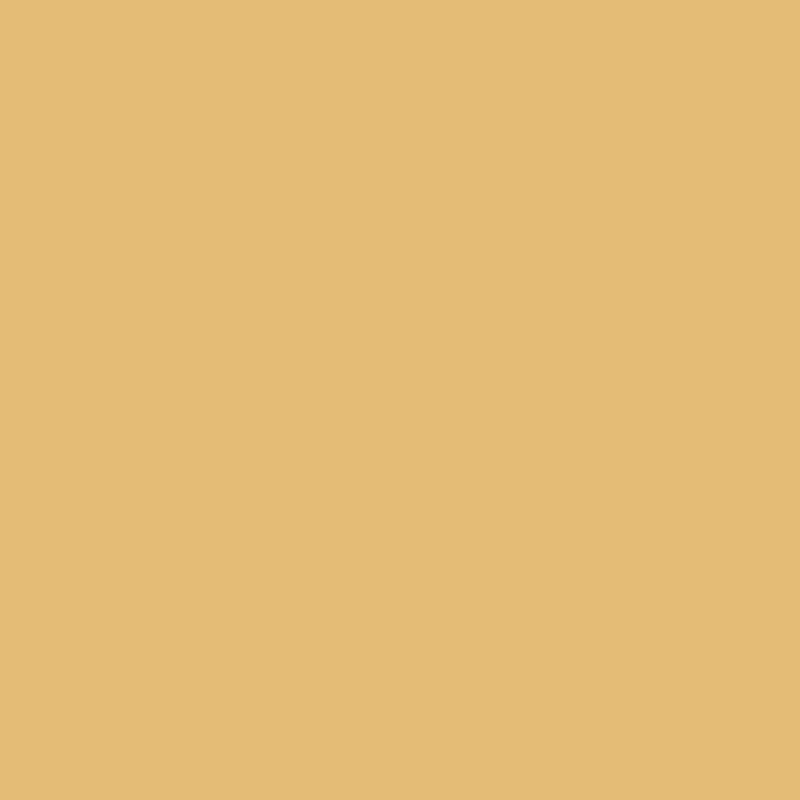 Winsor & Newton Winton Oil Color | 37ml