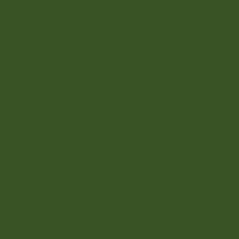 Winsor & Newton Winton Oil Color | 37ml