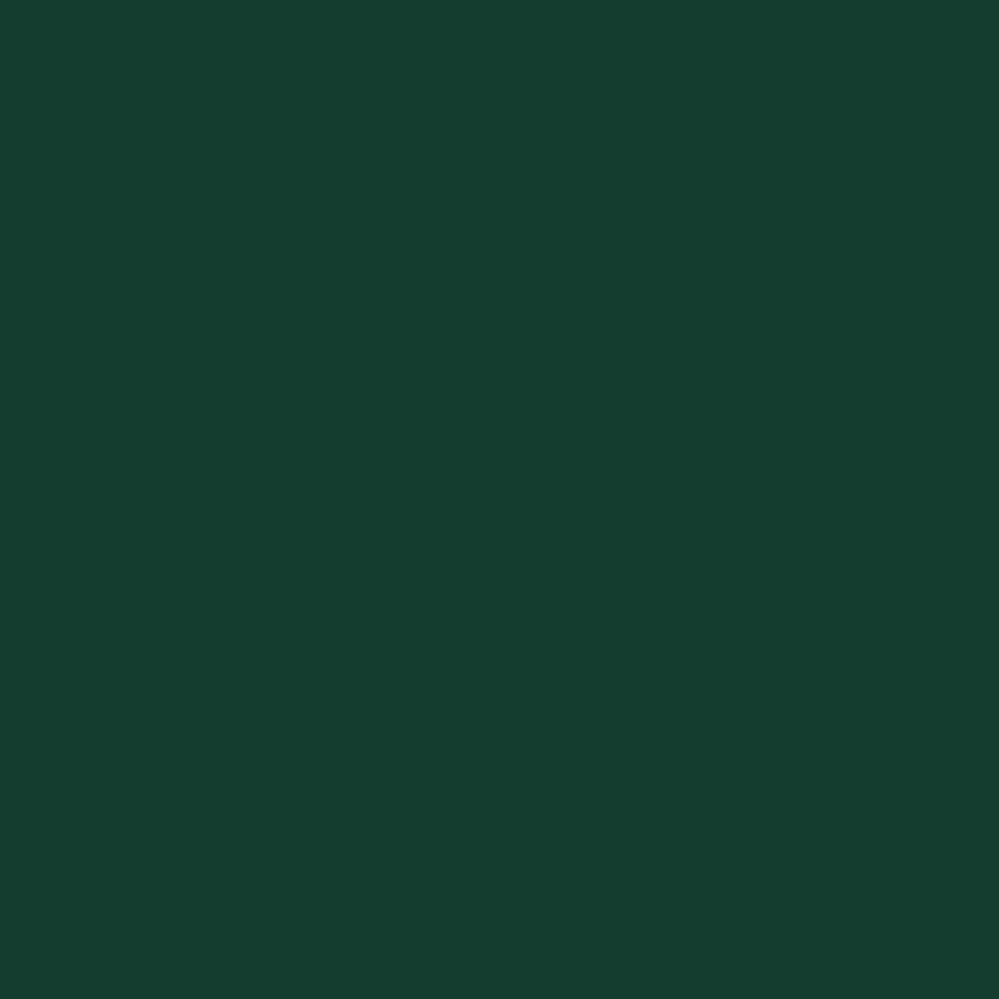 Five Star Fabric Dye 220gm - Standard Color | Weststar The Artshop