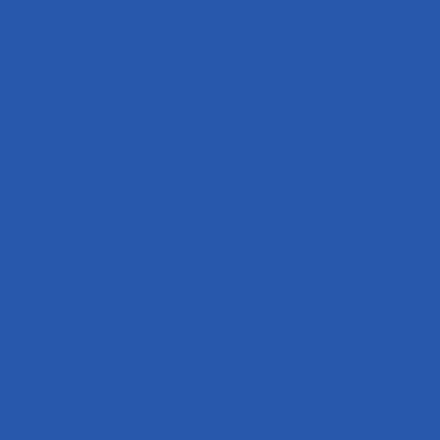 Five Star Fabric Dye 220gm - Standard Color | Weststar The Artshop