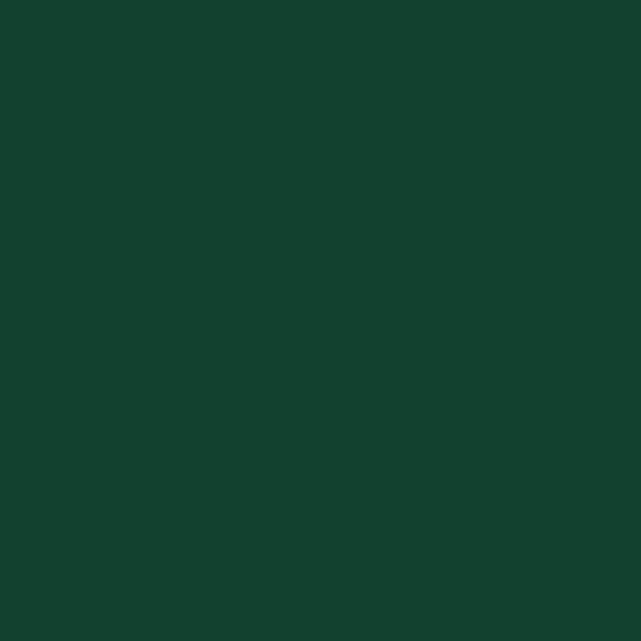 Five Star Fabric Dye 220gm - Standard Color | Weststar The Artshop