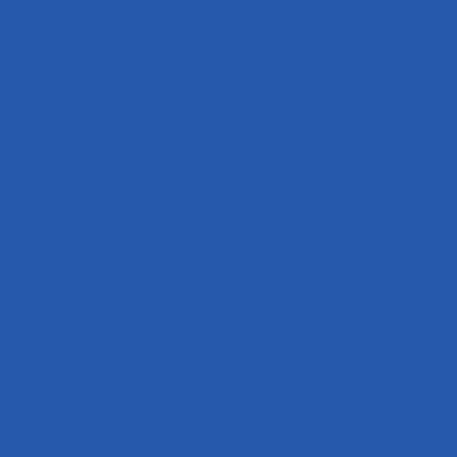 Five Star Fabric Dye 220gm - Standard Color | Weststar The Artshop