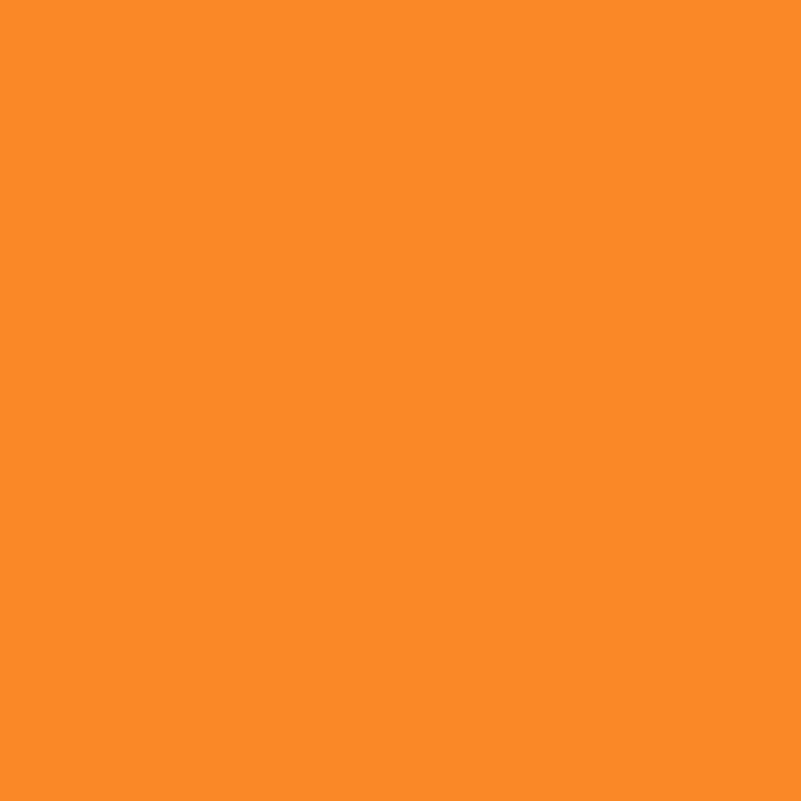 Five Star Fabric Dye 220gm - Standard Color | Weststar The Artshop