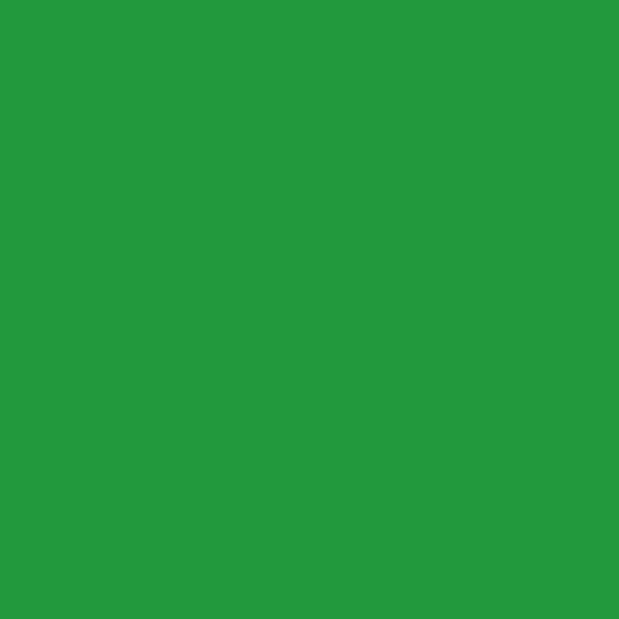 Five Star Fabric Dye 220gm - Standard Color | Weststar The Artshop