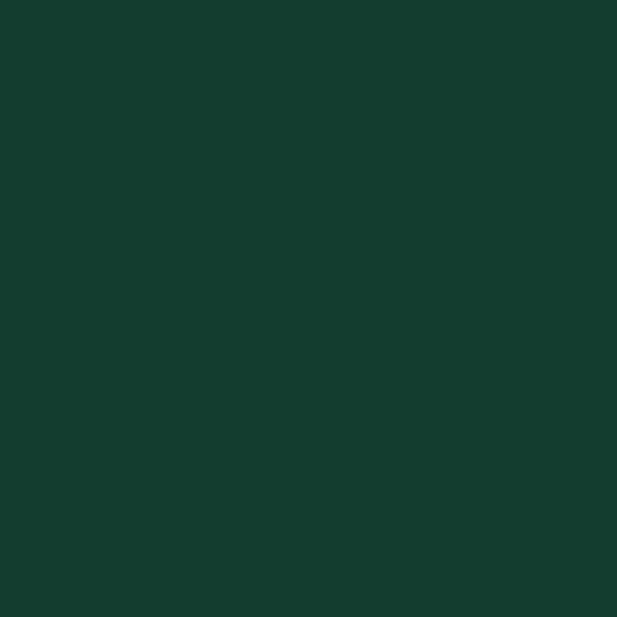 Five Star Fabric Dye 220gm - Standard Color | Weststar The Artshop