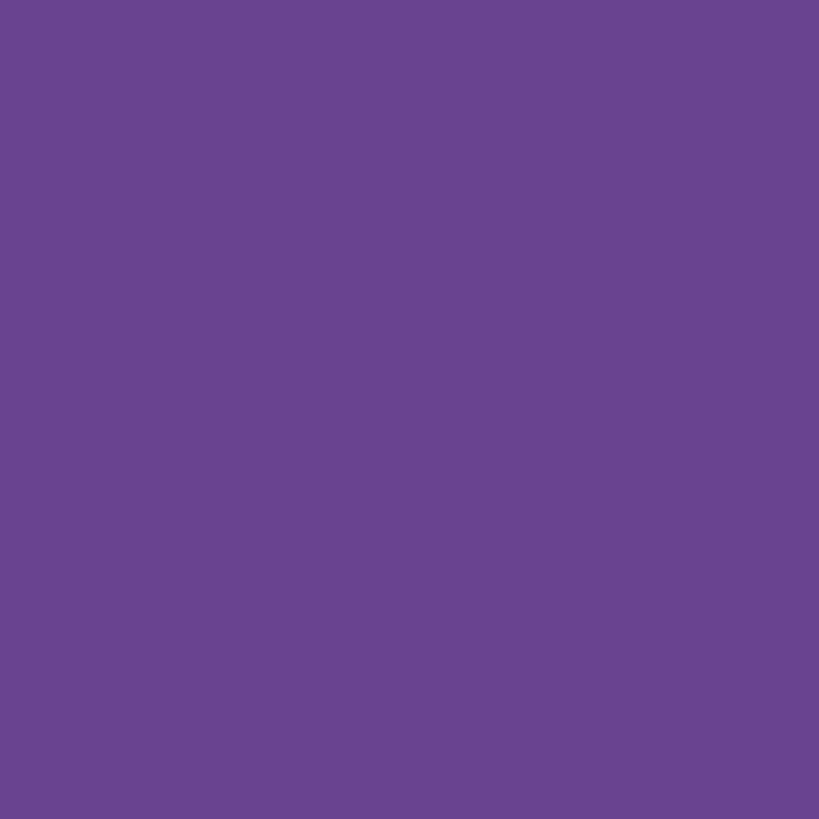 Five Star Fabric Dye 220gm - Standard Color | Weststar The Artshop