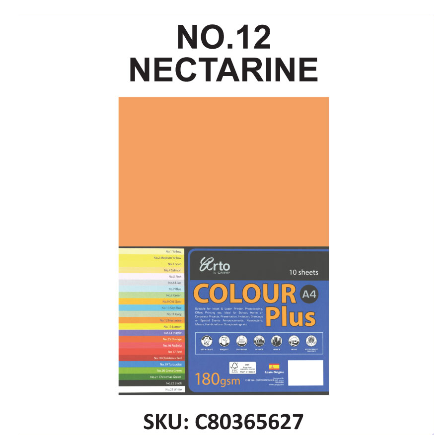 Arto by Campap A4 Colour Plus 10sheets x 180gsm