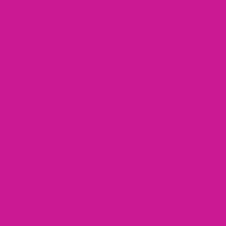 Five Star Fabric Dye 220gm - Standard Color | Weststar The Artshop