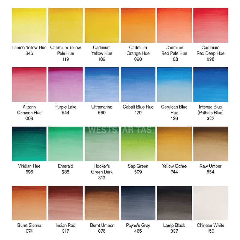 Winsor & Newton Cotman Watercolour Set , Half an Watercolor Set| 24 Half Pan