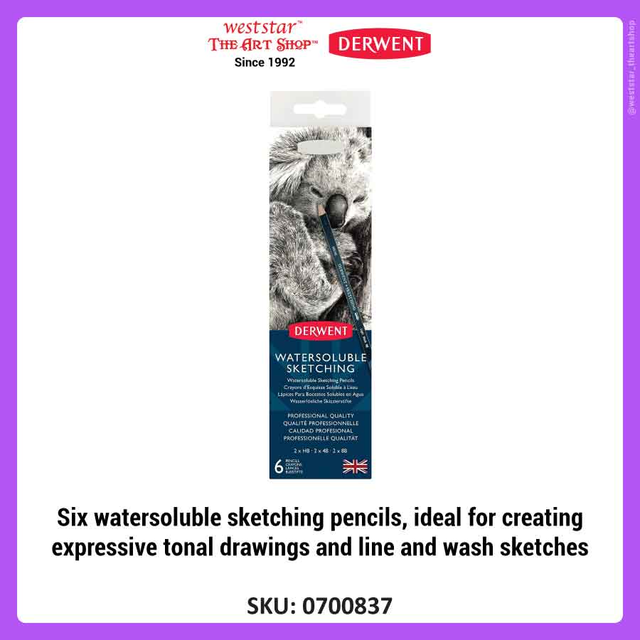 Derwent Watersoluble Sketching Pencils (Tin of 6pcs) Sketch & Blend [Online Exclusive Promotion]