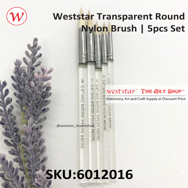 Weststar Transparent Round Nylon Brush | 5pcs Set