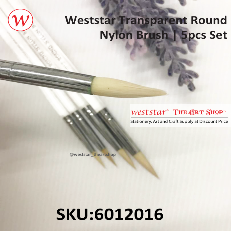 Weststar Transparent Round Nylon Brush | 5pcs Set