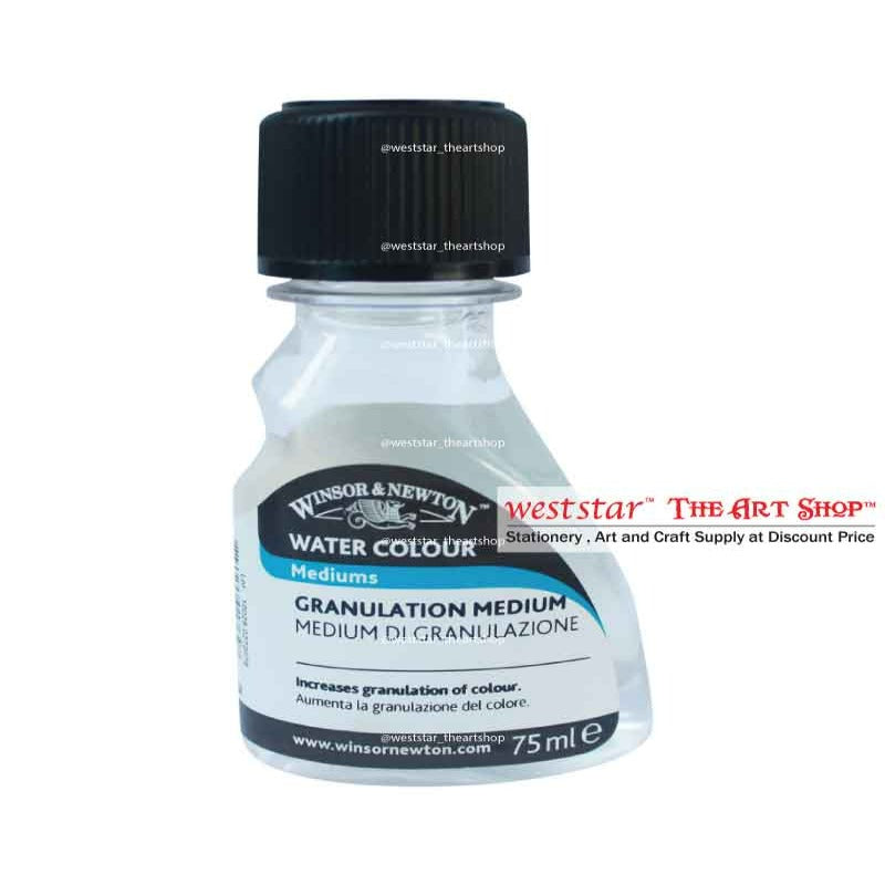 Winsor & Newton Artists' Gloss Varnish Matt Varnish (Gloss/Matt) (75ml)