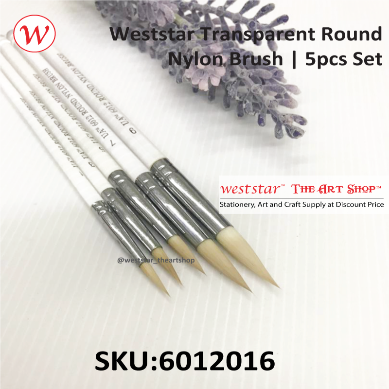 Weststar Transparent Round Nylon Brush | 5pcs Set