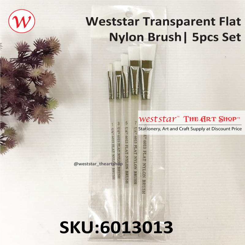 Weststar Transparent Flat Nylon Brush | 5pcs Set