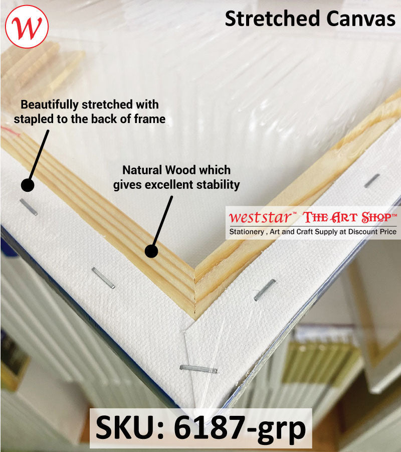 ARTYS High Quality Stretched Canvas for Acrylic and Oil Painting Size From 6" to 60"