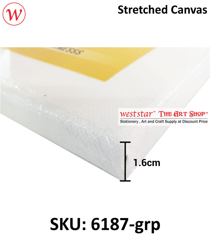 ARTYS High Quality Stretched Canvas for Acrylic and Oil Painting Size From 6" to 60"