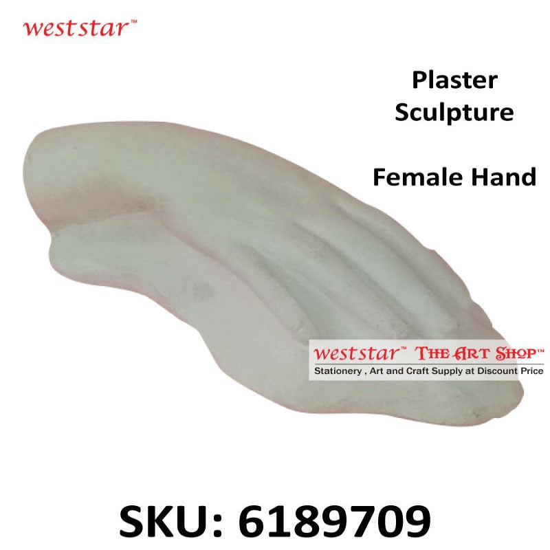 Plaster Sculpture - Female Hand