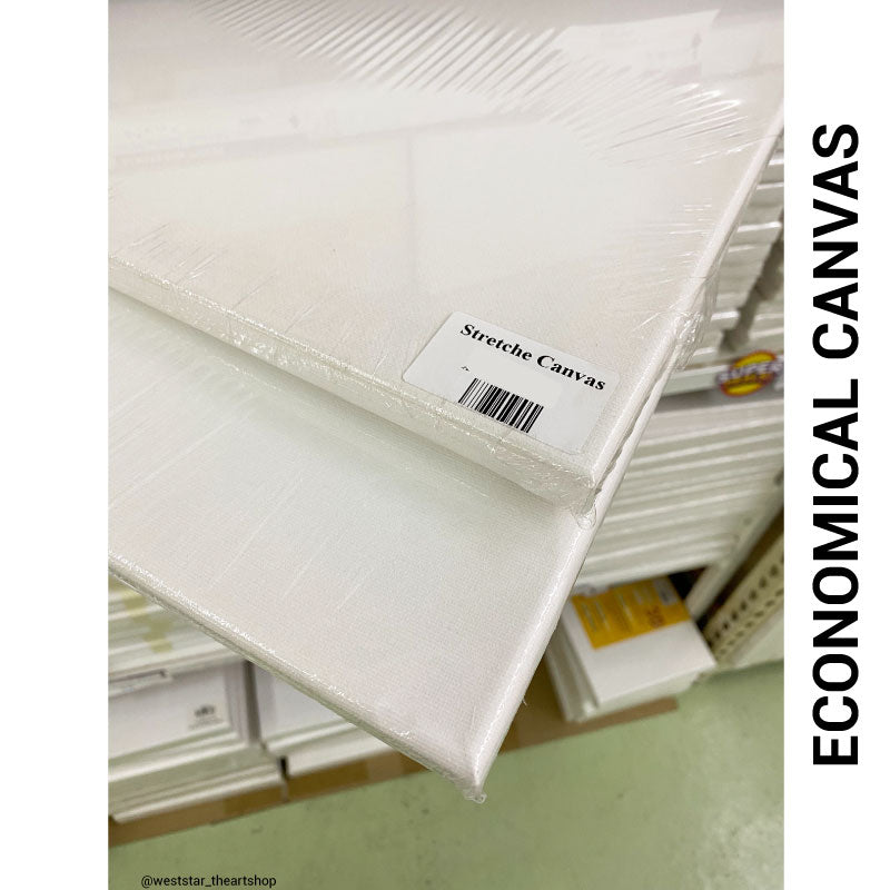 Stretched Canvas - (Economical) | Rectangular / Oblong (Up to 80cm)