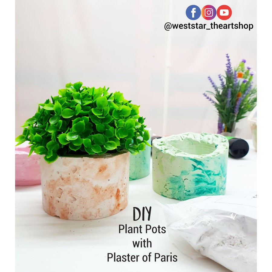 [WESTSTAR] PLASTER OF PARIS / POP / CASTING POWDER 1kg +- 2kg +- GYPSUM POWDER FOR CRAFT