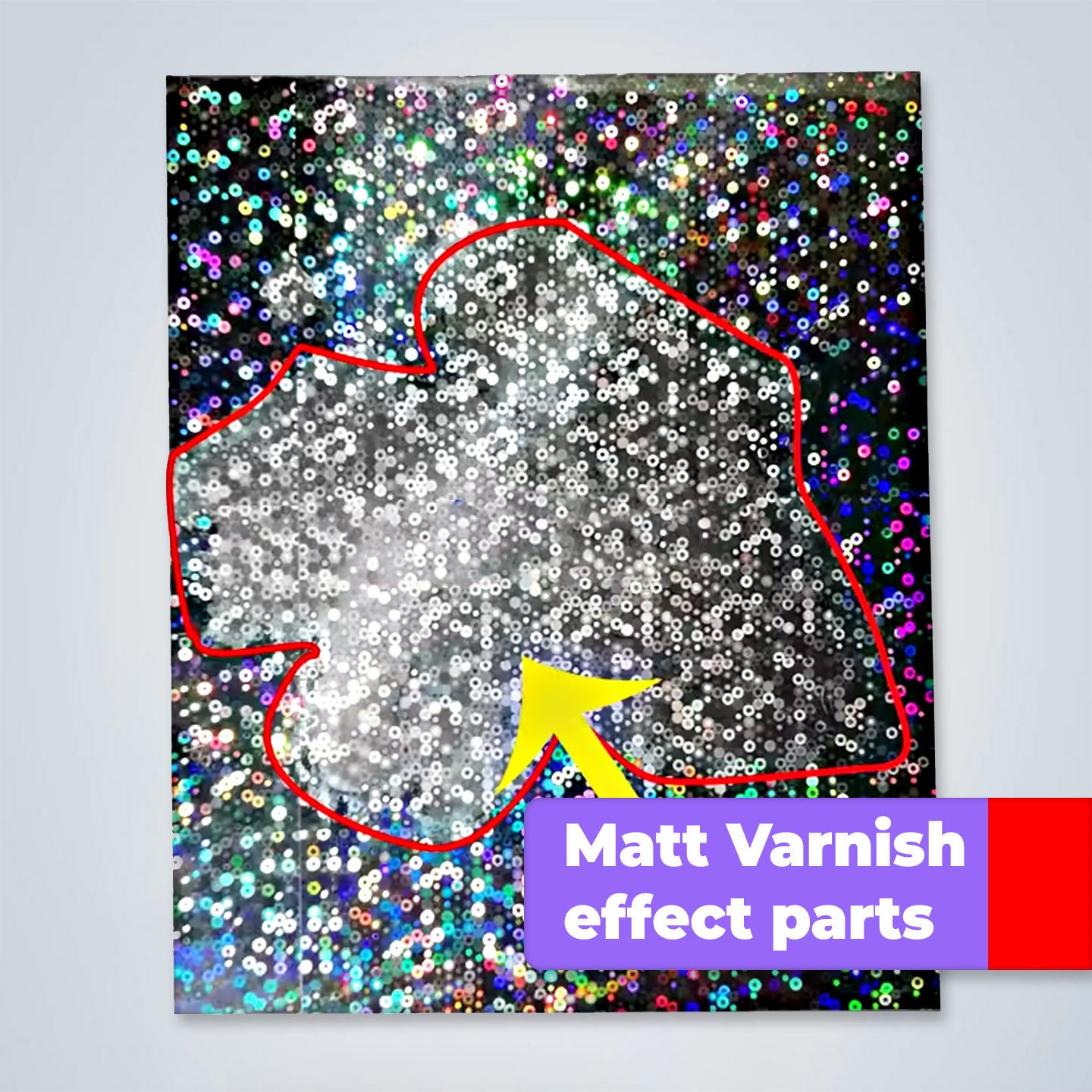 TAOPU Professional Matt Varnish (Lacquer) Water-Based | Fast Drying | Non-Gloss Finish