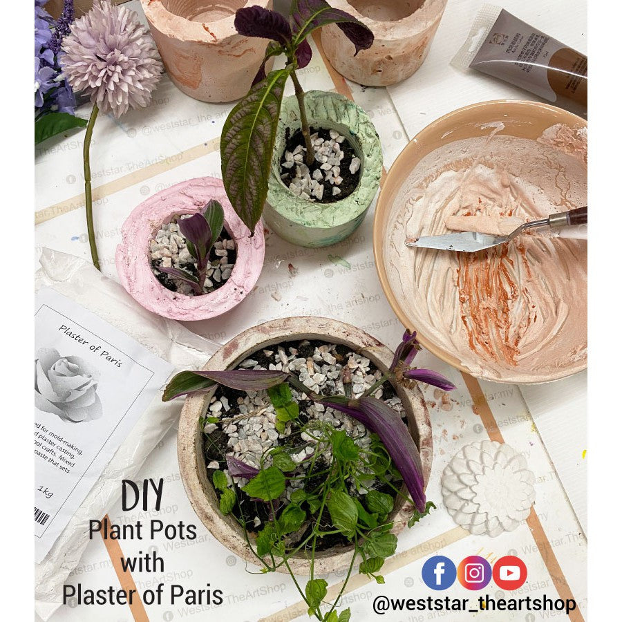 [WESTSTAR] PLASTER OF PARIS / POP / CASTING POWDER 1kg +- 2kg +- GYPSUM POWDER FOR CRAFT