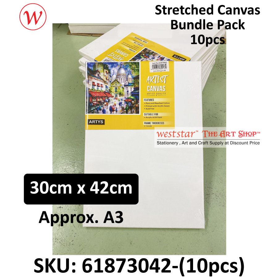 ARTYS Stretched Canvas Super Value Bundle Pack 10pcs / Kanvas | 30cm x 42cm (A3)