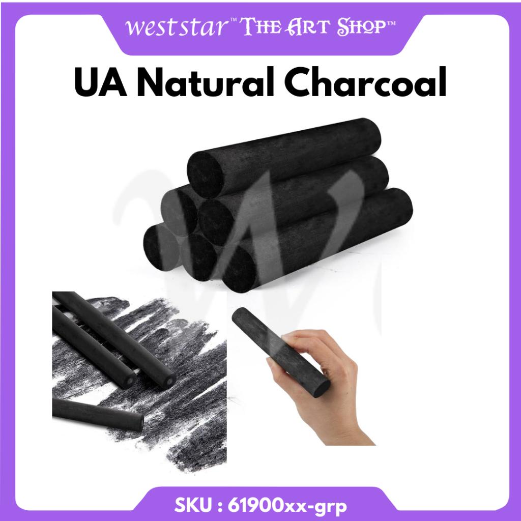 [WE-ARTS] UA Natural Charcoal Jumbo Stick Charcoal for Painting Charcoal Stick Dia.13mm - 24mm (3pcs/pkt)