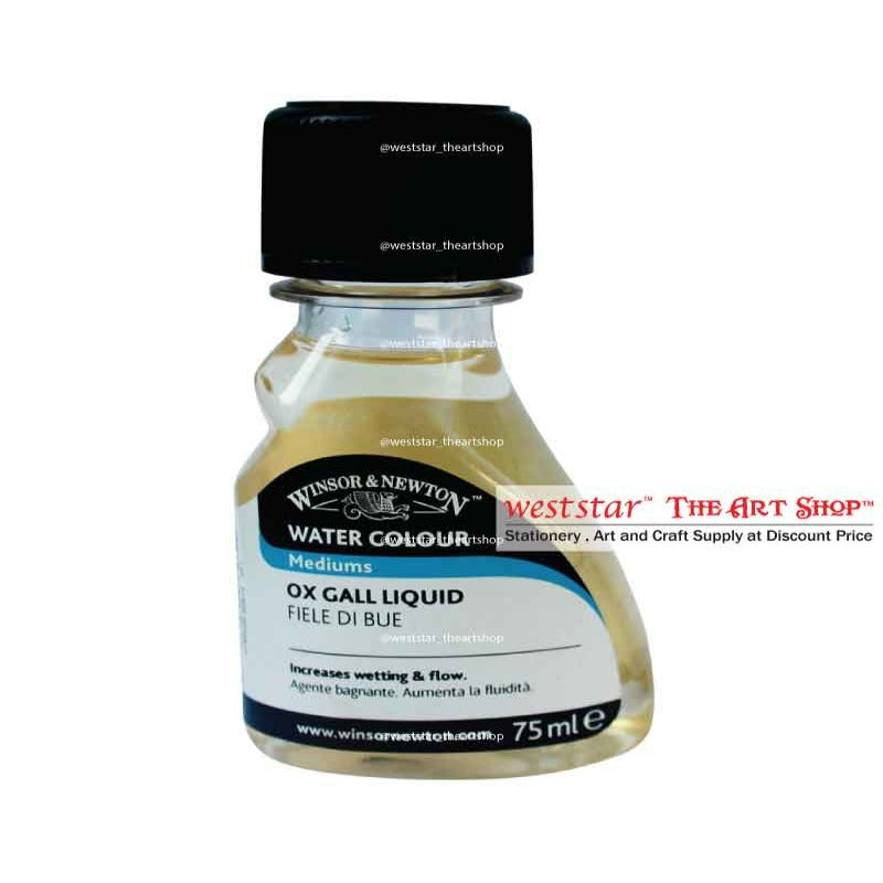 Winsor & Newton Artists' Gloss Varnish Matt Varnish (Gloss/Matt) (75ml)