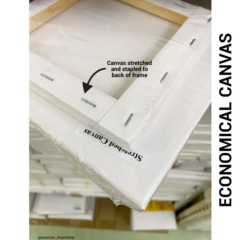 Economical Stretched Canvas (Rectangular) A4, A3, A2